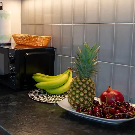 Maya's Flats & 102 - Premium Prz Apartmán Gdaňsk